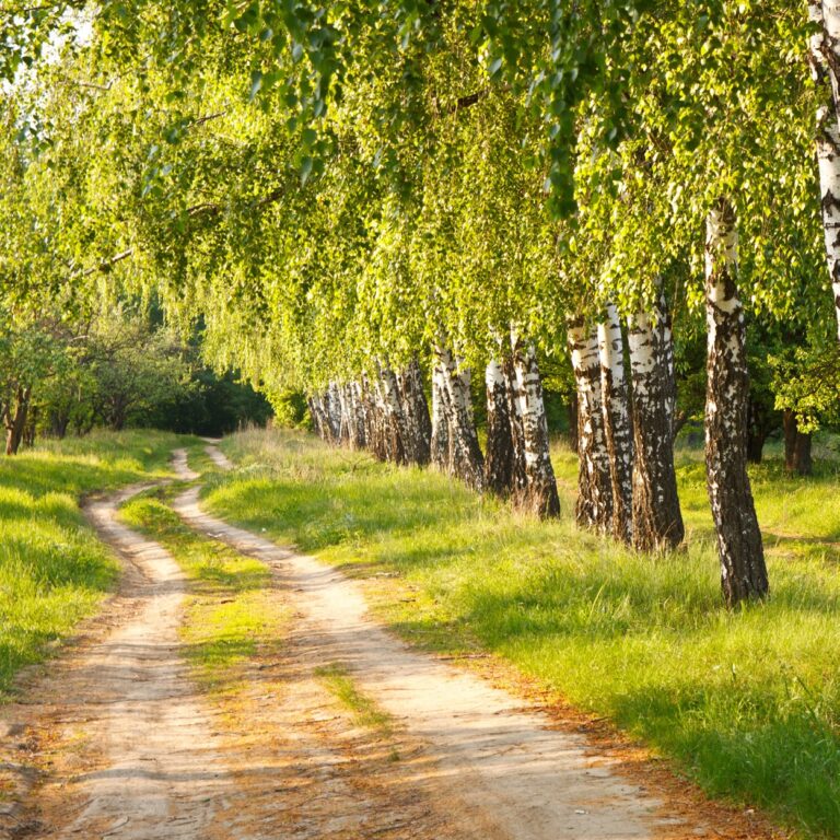 diakonie-lahn-dill_aktuelles_news