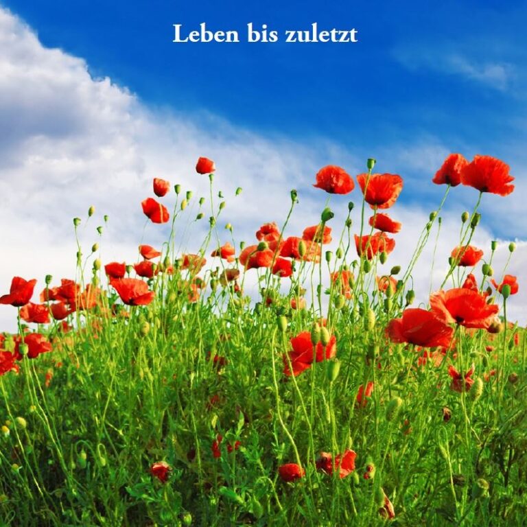 diakonie-lahn-dill_ambulanter-hospizdienst_2023-09