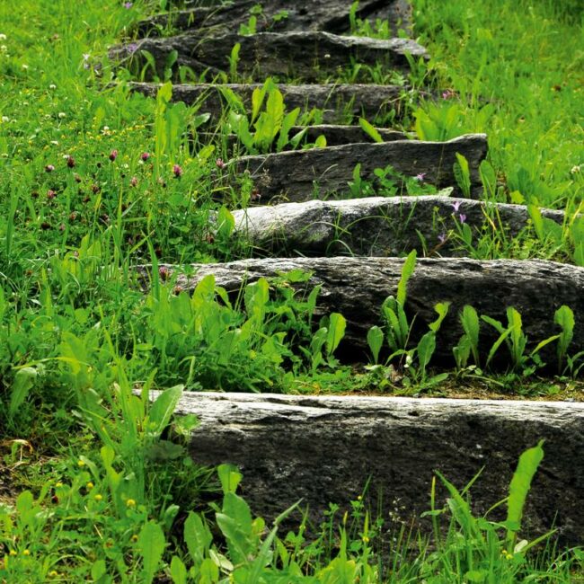 diakonie-lahn-dill_fortbildung-fuer-gesetzliche-betreuer-und-interessierte_03-2019