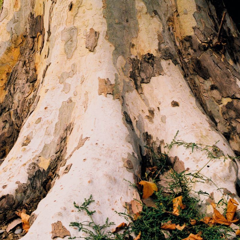 diakonie-lahn-dill_leitbild-klienten