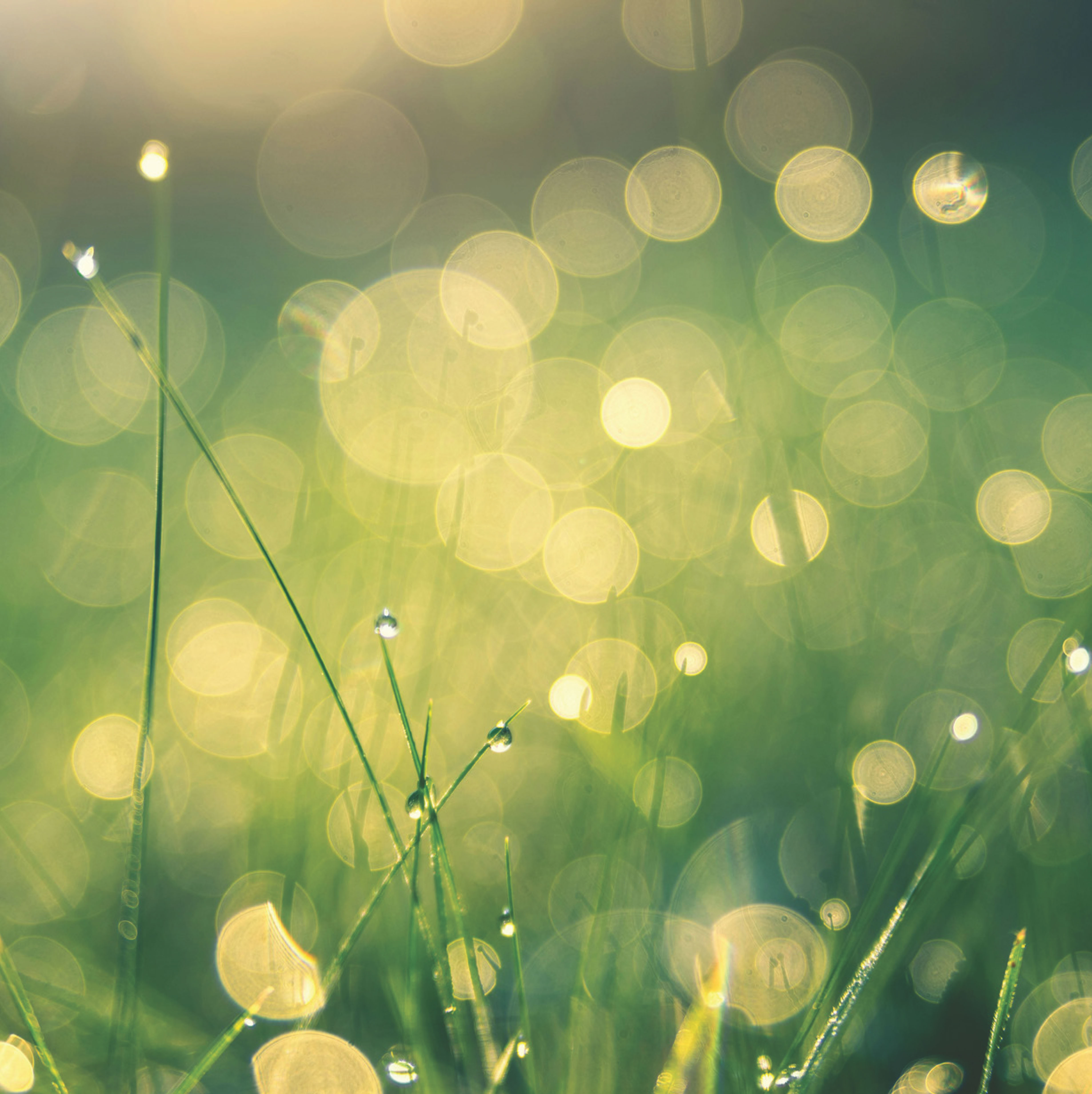 diakonie-lahn-dill_teilhabezentrum-solms_maifest_2026-05-21